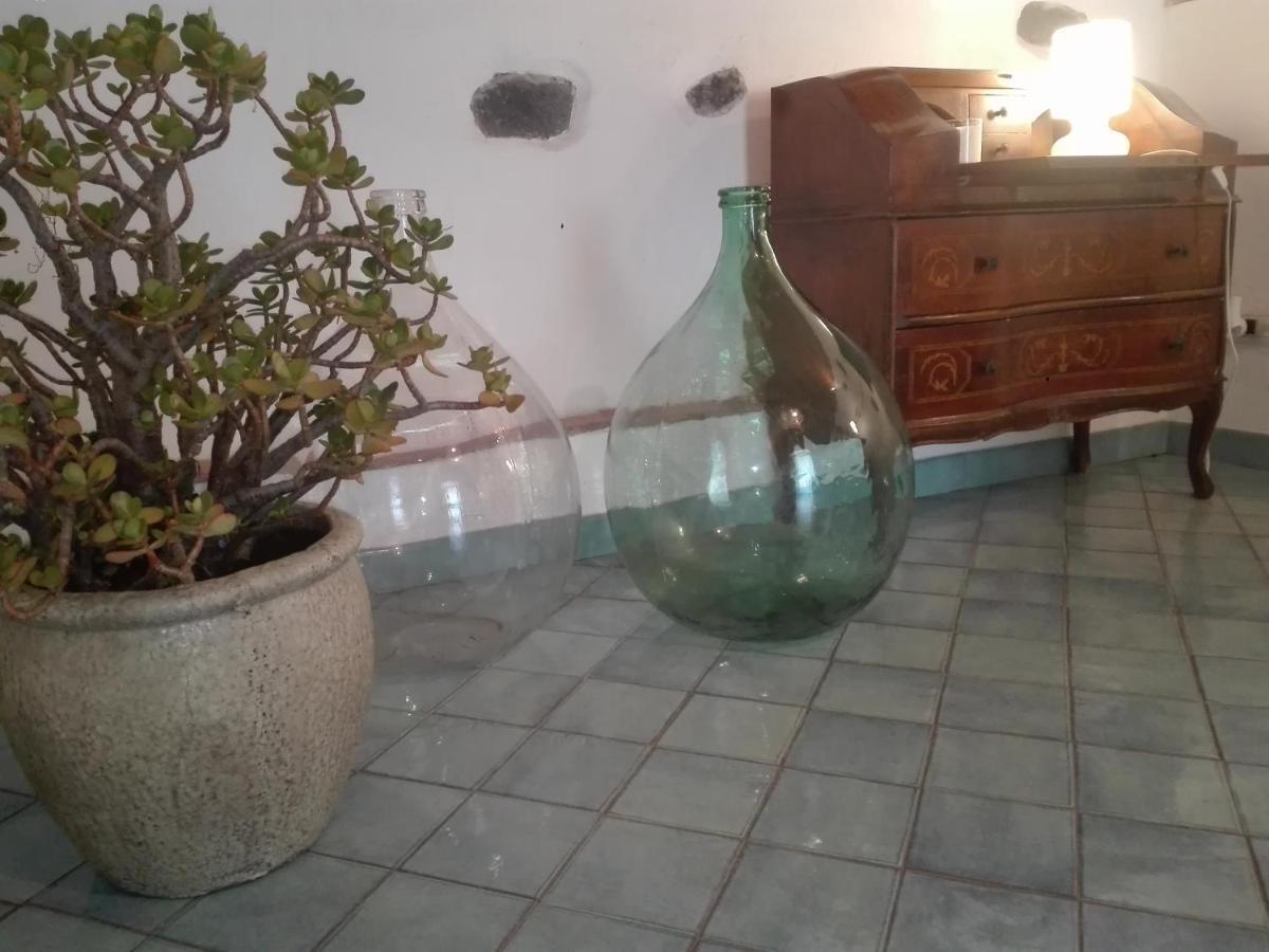 Bouganville 卡塔尼亚 外观 照片